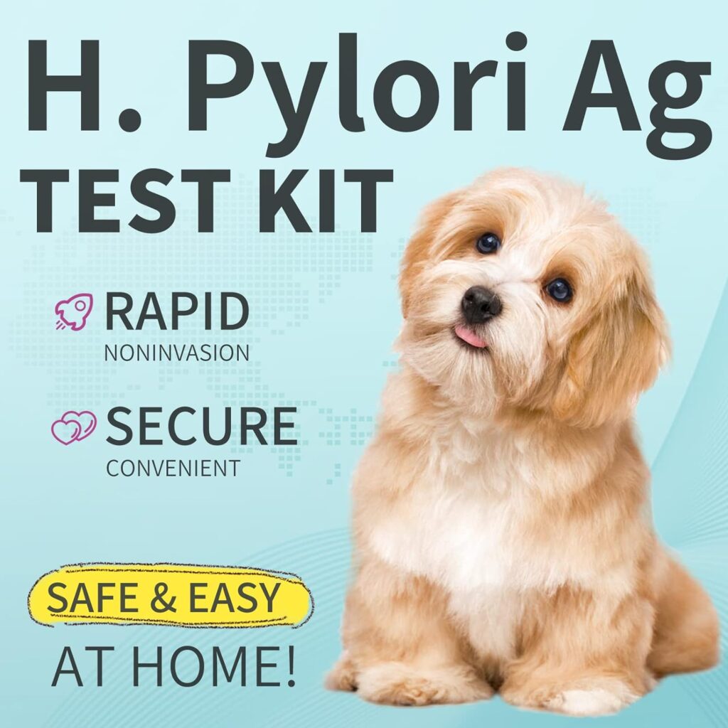 AssuTest Pets H. Pylori Health Test Kits at Home Rapid Wellness Detection for Dogs Cats Testing Strips of Helicobacter Pylori, 2 Tests