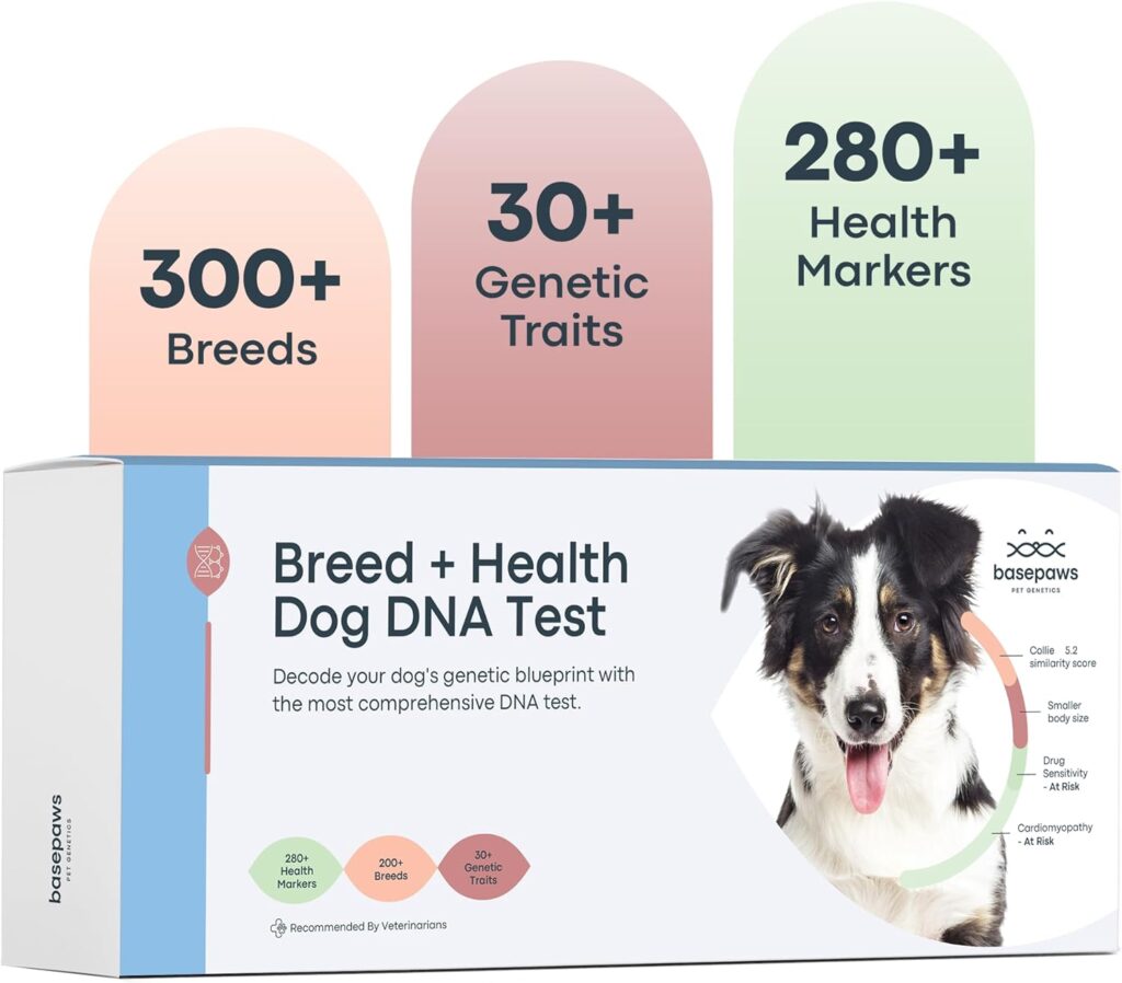 Basepaws Dog DNA Test: Comprehensive Breed, Trait, Most Accurate Genetic Health Screening for Dogs - Reveal Over 300+ Breeds, 280+ Health Risks, and 30+ Traits