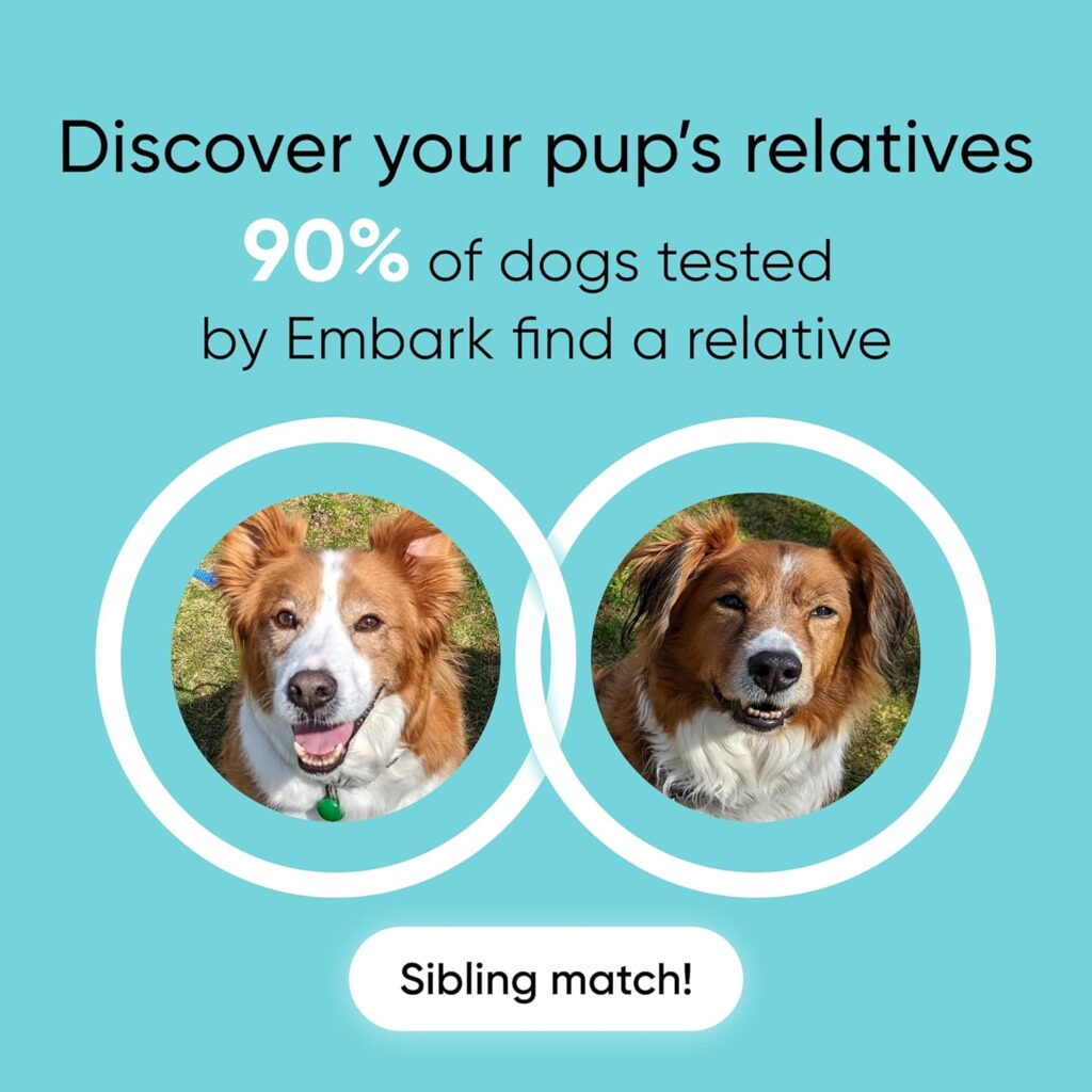 Embark Breed Identification Kit | Most Accurate Dog DNA Test | Test 350+ Dog Breeds | Breed ID Kit with Ancestry Family Tree
