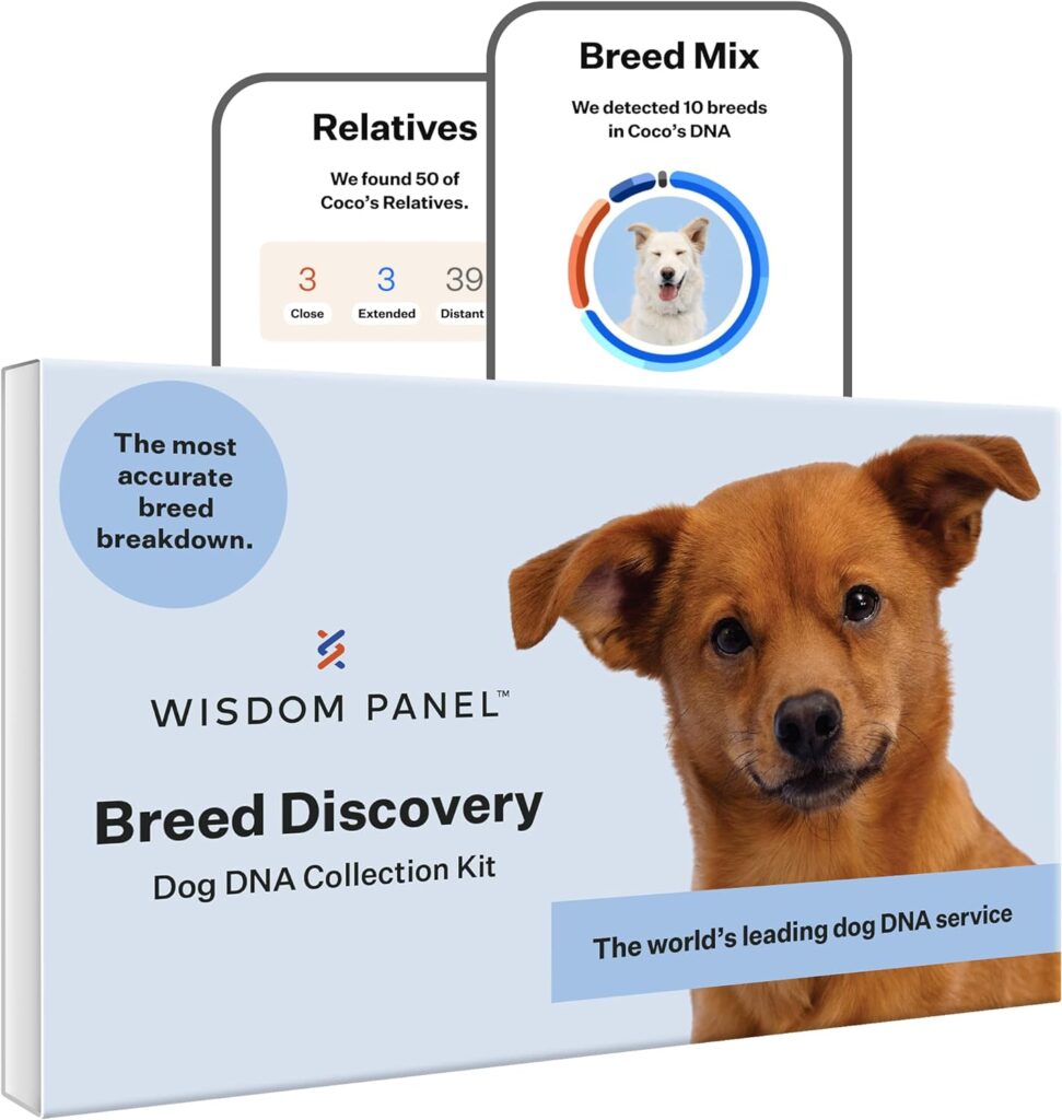 Wisdom Panel Breed Discovery Dog DNA Kit: Most Accurate Dog Breed Identification, Test for 365+ Breeds, MDR1 Health Test, Ancestry, Relatives