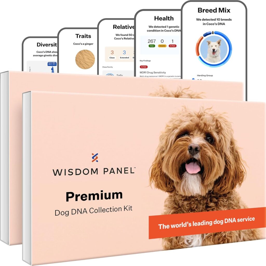 Wisdom Panel Premium Dog DNA Kit: Most Comprehensive with 265+ Health Tests, Identify 365+ Dog Breeds, 50+ Traits, Relatives, Ancestry, Genetic Diversity - 1 Pack