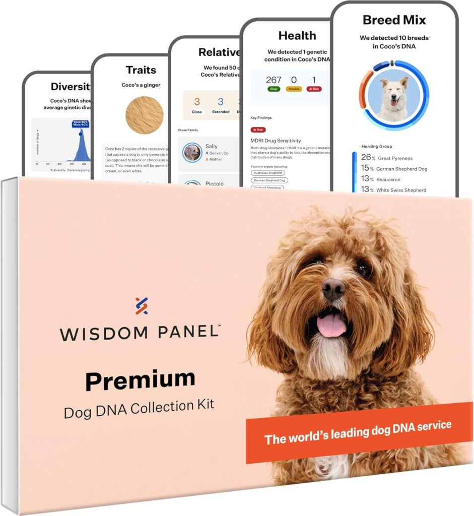 Wisdom Panel Premium Dog DNA Kit: Most Comprehensive with 265+ Health Tests, Identify 365+ Dog Breeds, 50+ Traits, Relatives, Ancestry, Genetic Diversity - 1 Pack